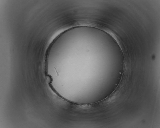 X0000089451147200707061237