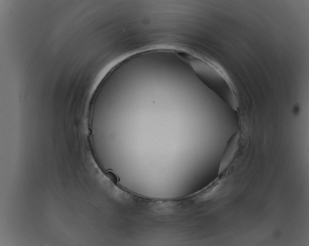 X0000089451148200707061237