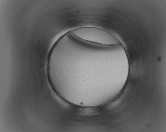 X0000089451149200707061237