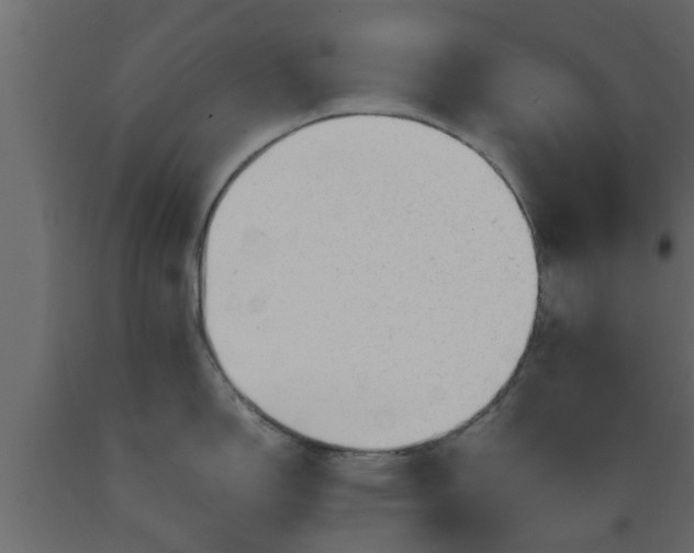 X0000089451150200707061237