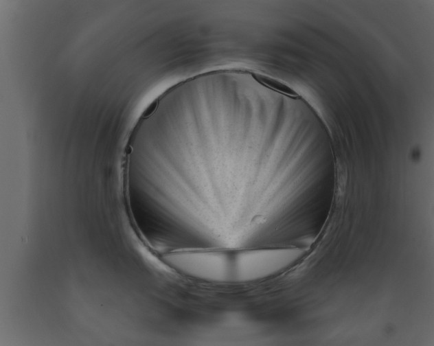 X0000089451151200707061237