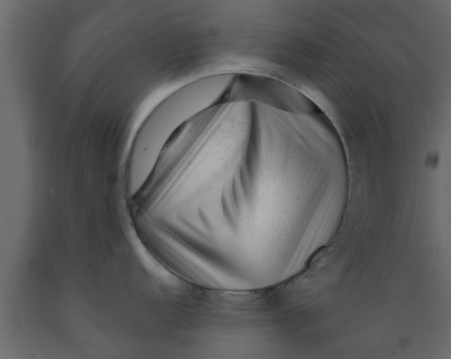 X0000089451152200707061237