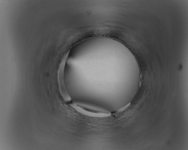 X0000089451153200707061237