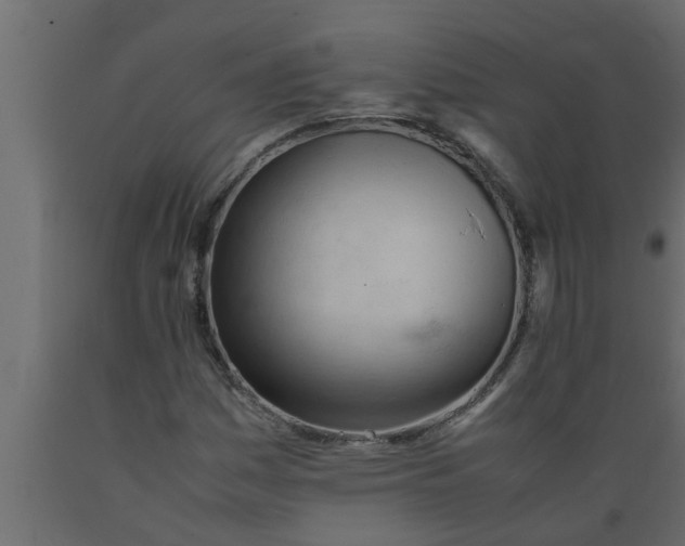 X0000089451161200707061237