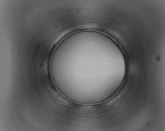 X0000089451162200707061237