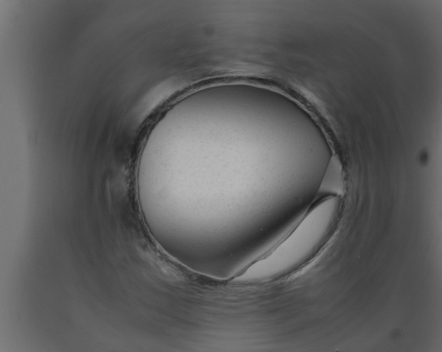 X0000089451163200707061237