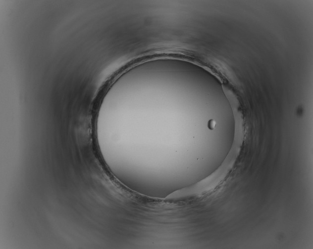 X0000089451164200707061236