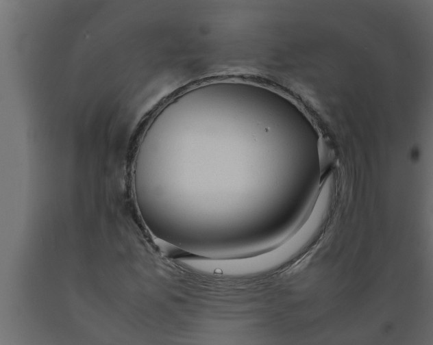 X0000089451165200707061236