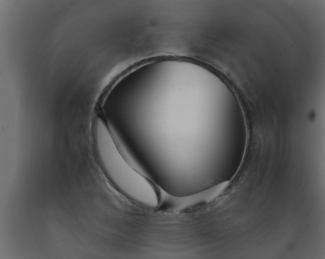 X0000089451168200707061236