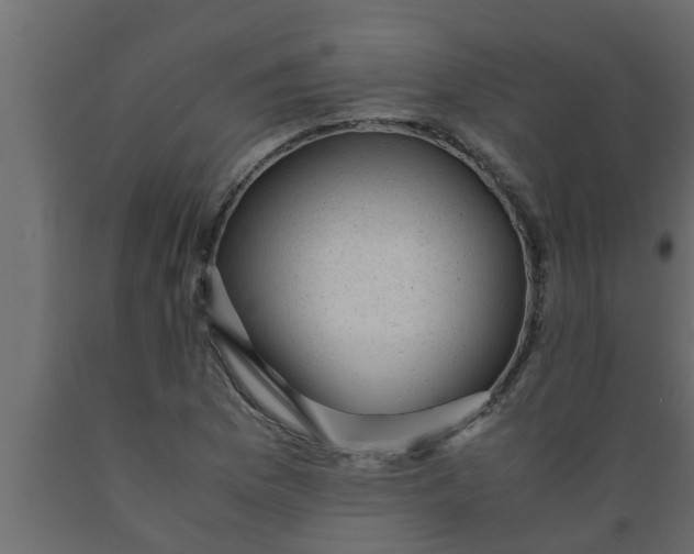 X0000089451169200707061236