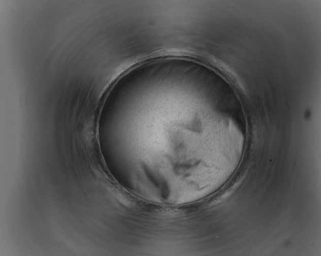 X0000089451170200707061236