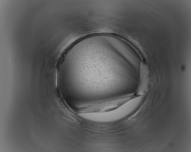 X0000089451171200707061236