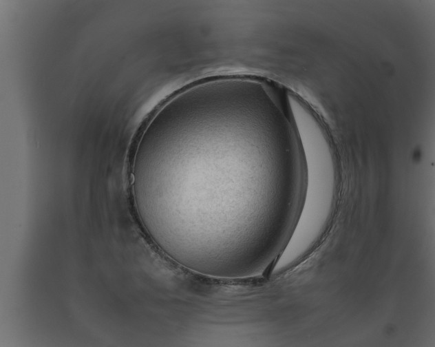 X0000089451173200707061236