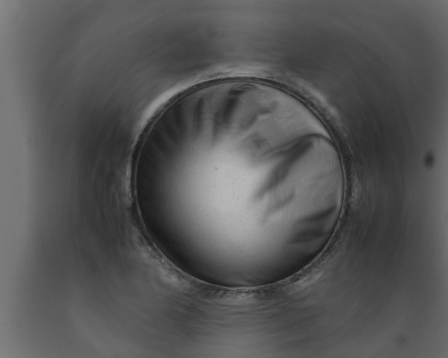 X0000089451174200707061236