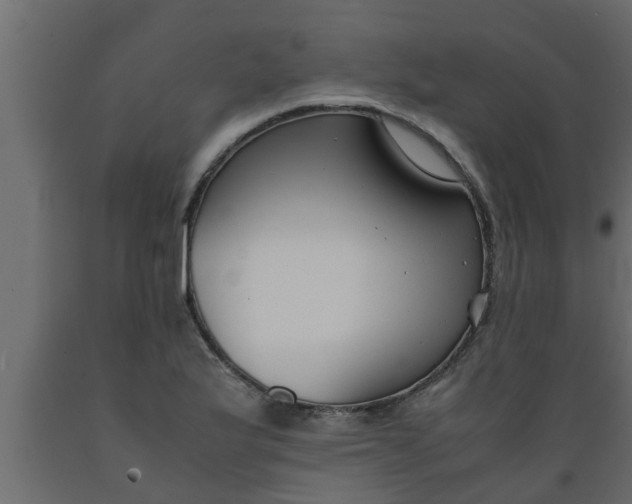 X0000089451175200707061236