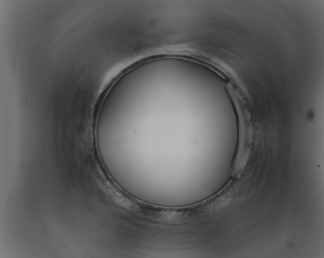 X0000089451176200707061236