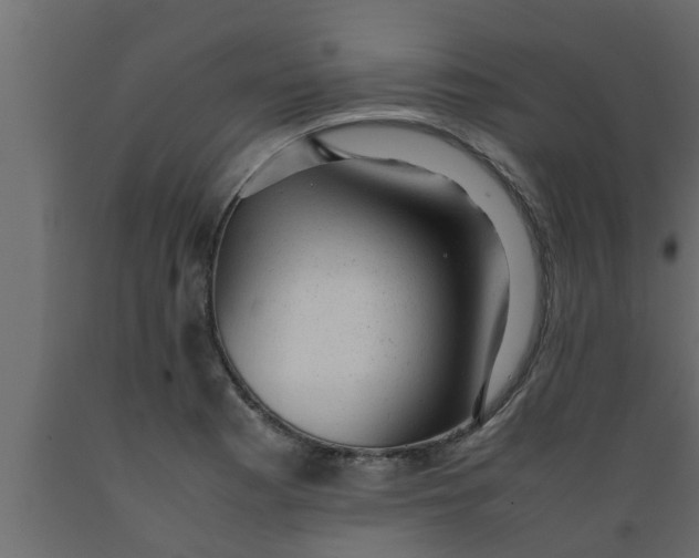 X0000089451177200707061236