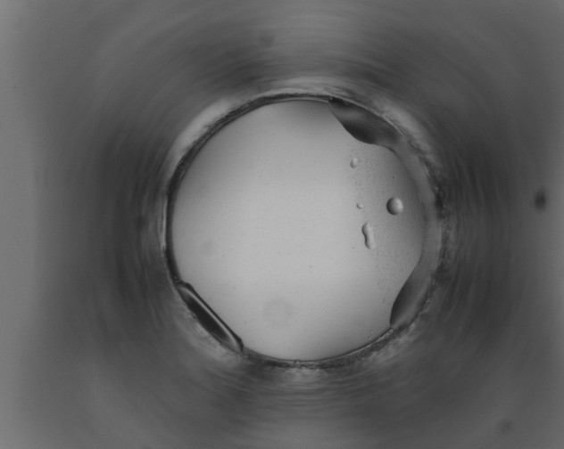 X0000089451180200707061236