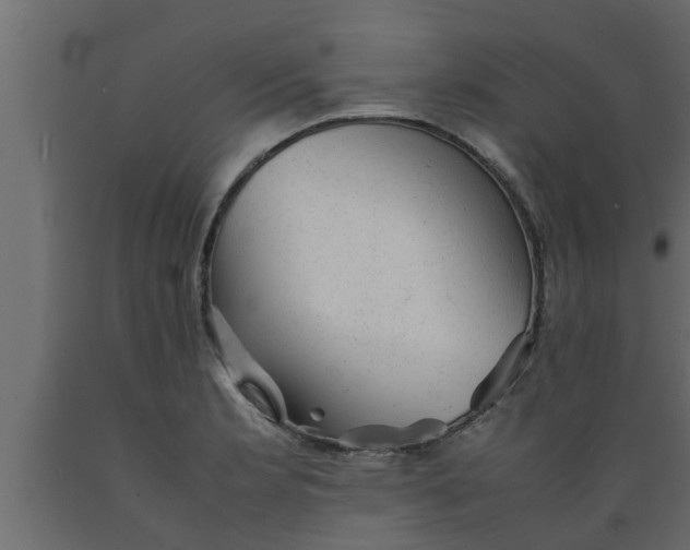 X0000089451181200707061236