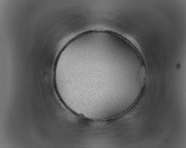 X0000089451183200707061236