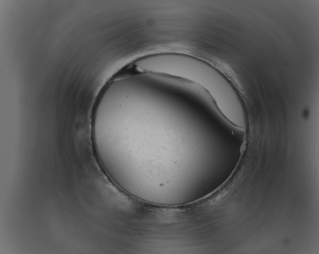 X0000089451184200707061236