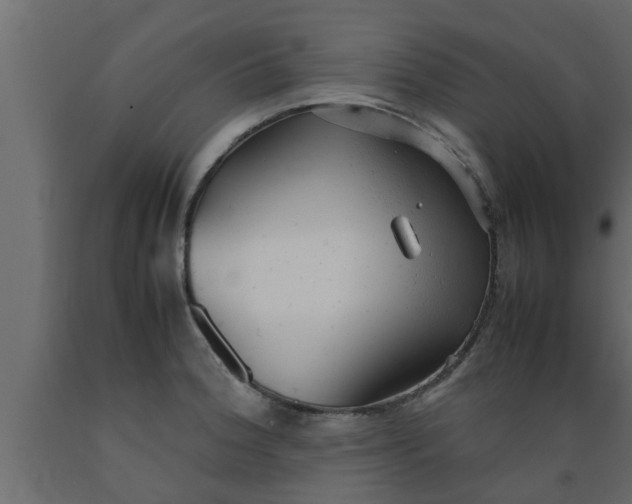 X0000089451188200707061236