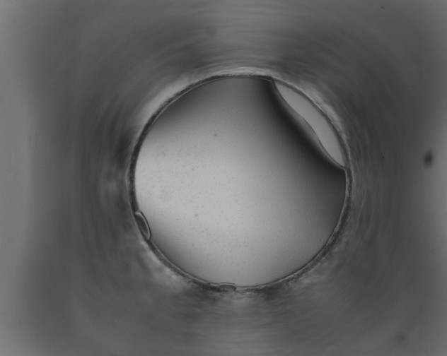 X0000089451189200707061236