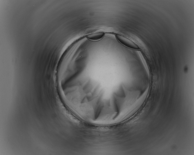 X0000089451190200707061236