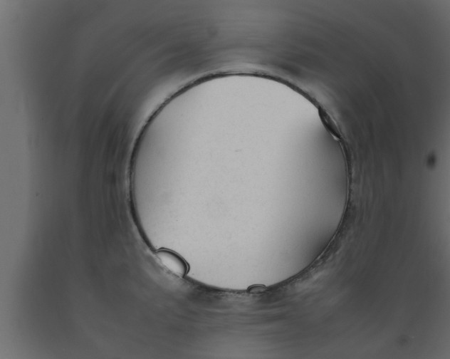 X0000089451191200707061236