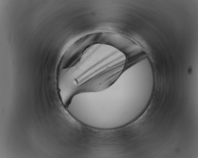 X0000089451192200707061236