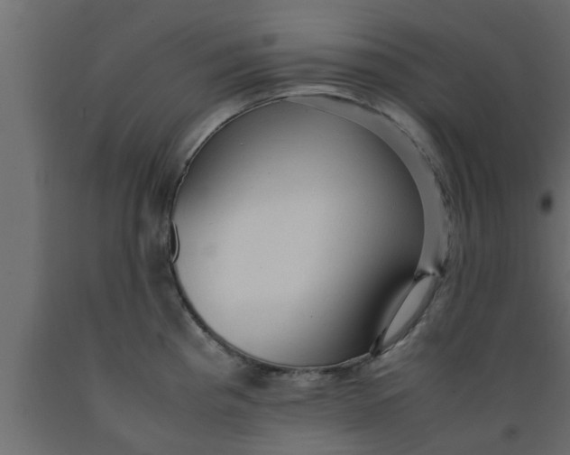 X0000089451193200707061236