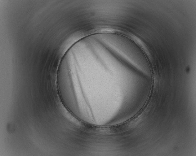 X0000089451194200707061236