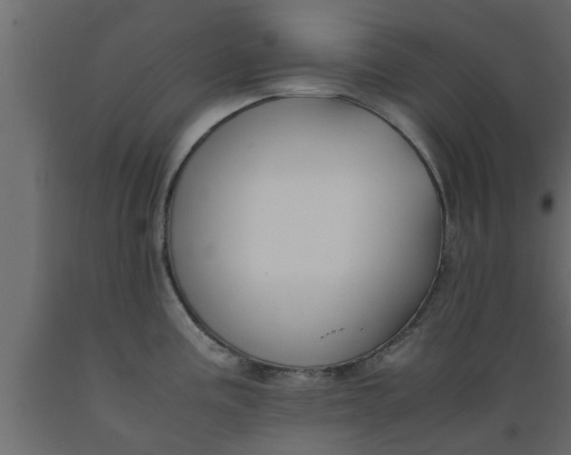 X0000089451195200707061236