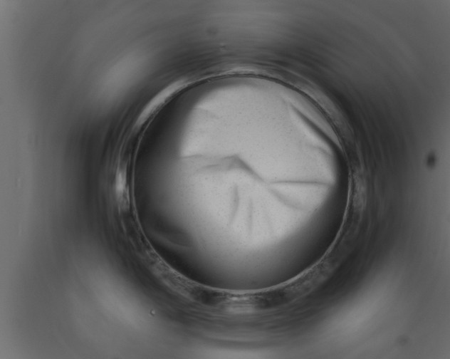 X0000089451198200707061236