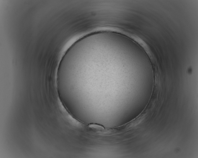 X0000089451199200707061236