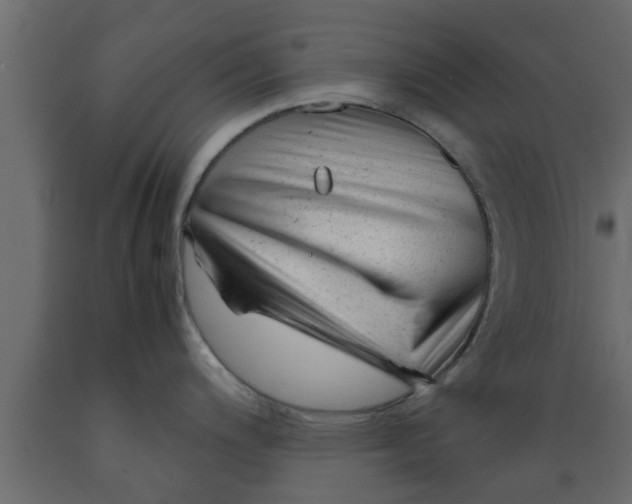 X0000089451200200707061236