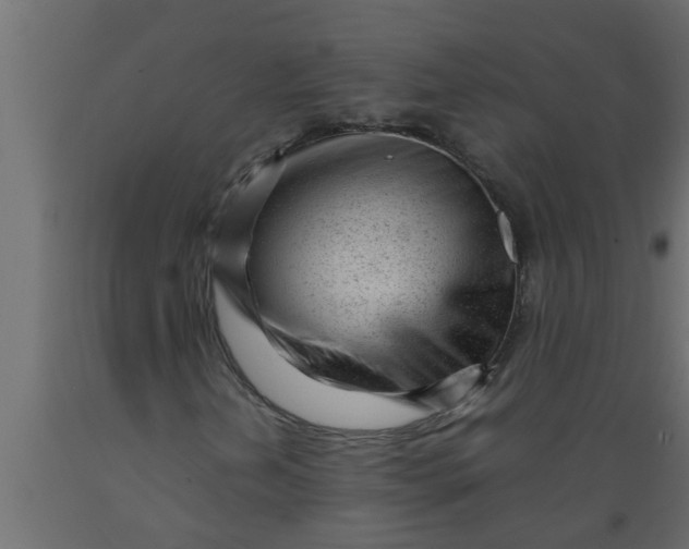 X0000089451202200707061235