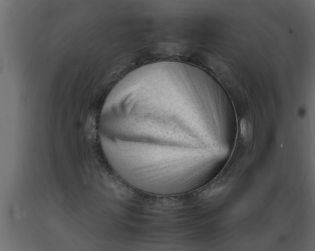 X0000089451203200707061235