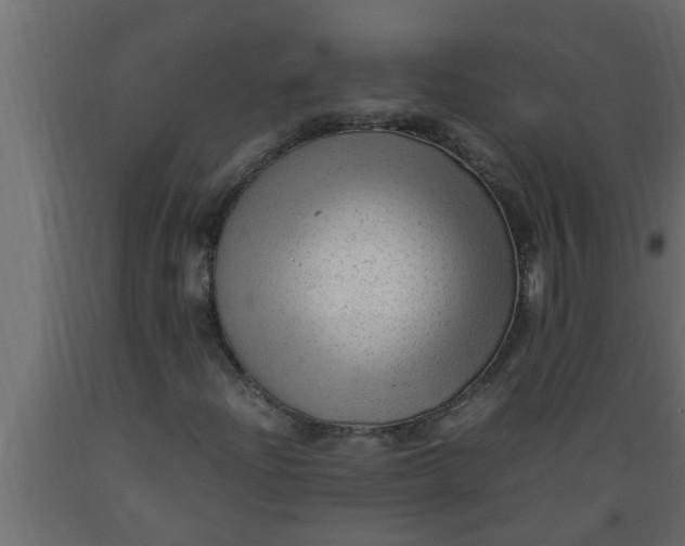 X0000089451204200707061235