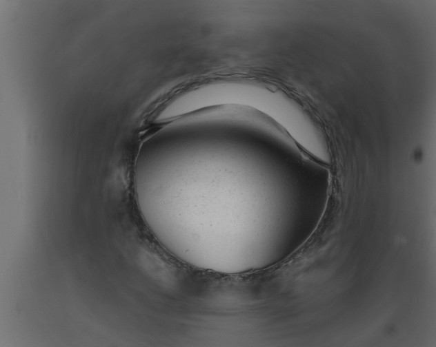 X0000089451206200707061235