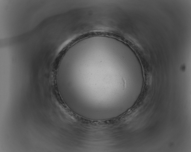 X0000089451208200707061235