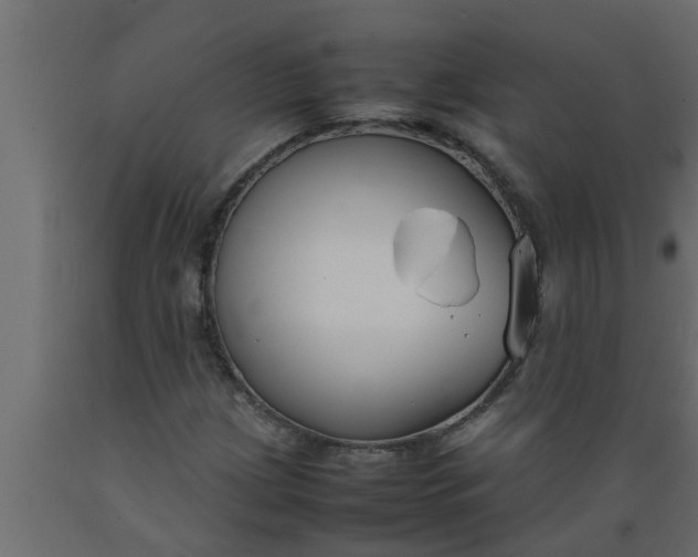 X0000089451209200707061235