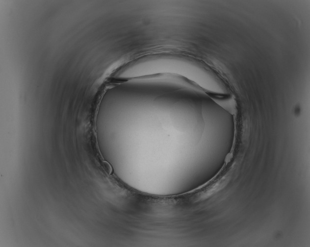 X0000089451210200707061235