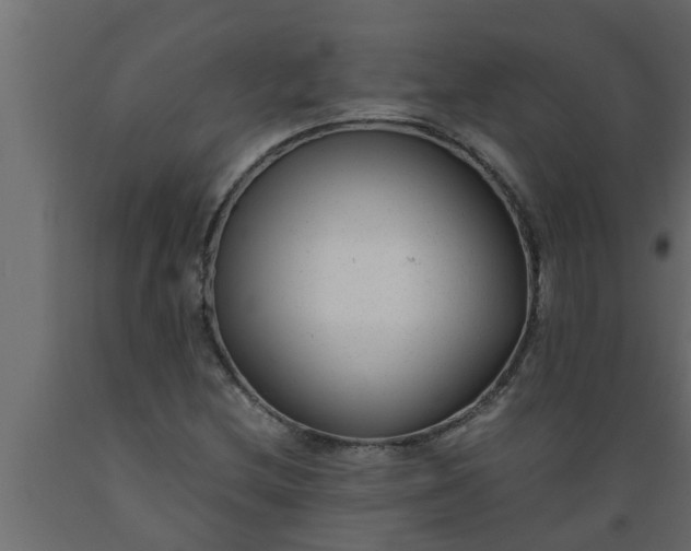 X0000089451212200707061235