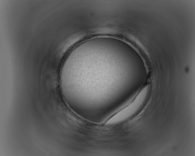 X0000089451213200707061235