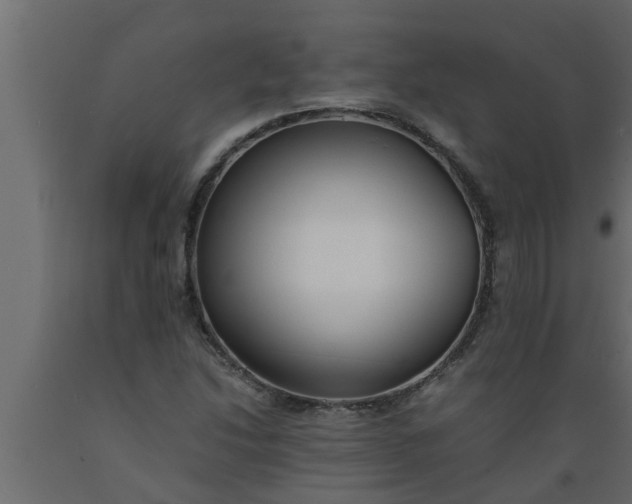 X0000089451214200707061235