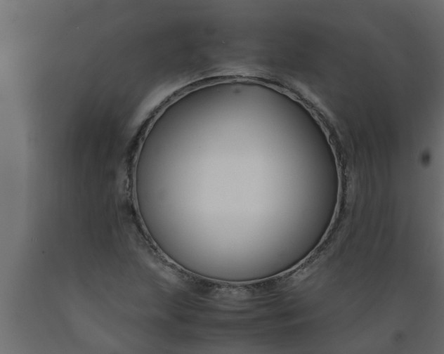 X0000089451215200707061235