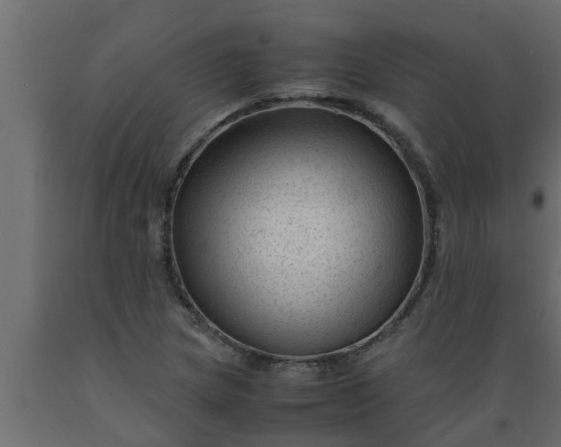 X0000089451217200707061235