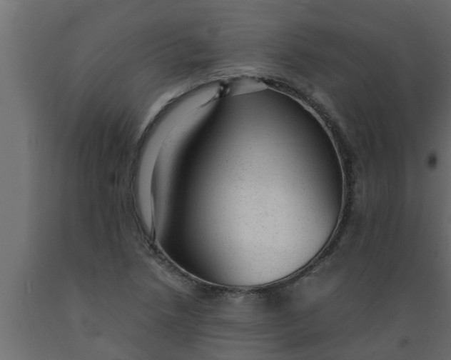 X0000089451218200707061235