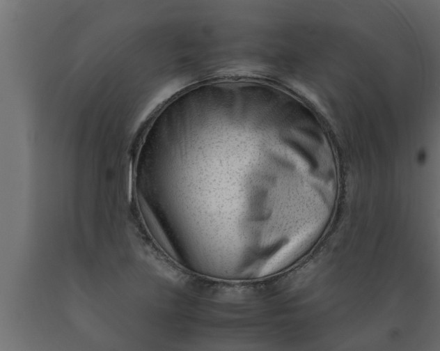 X0000089451219200707061235